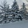 kaylacraig296